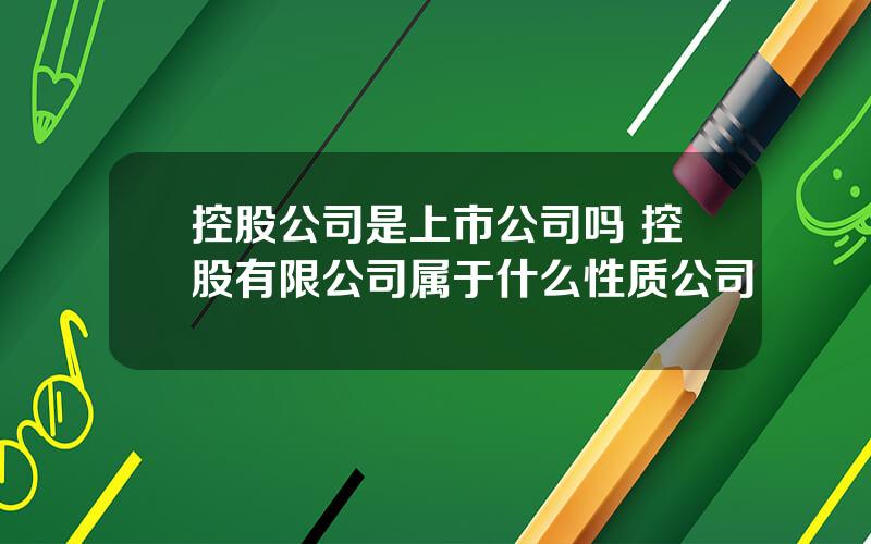 控股公司是上市公司吗 控股有限公司属于什么性质公司
